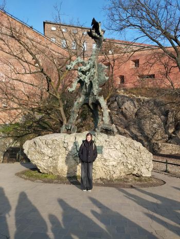 Wycieczka na Wawel