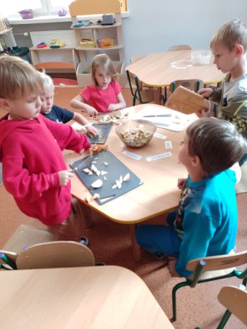 Zdrowe17